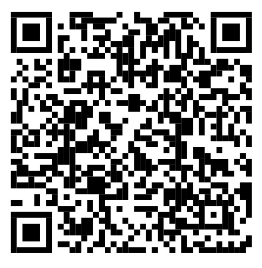 Payment Qr 